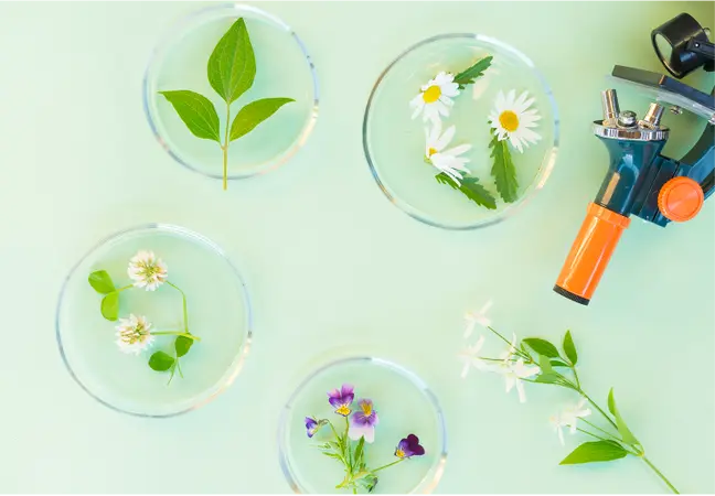Foto microscopio y hojas de plantas