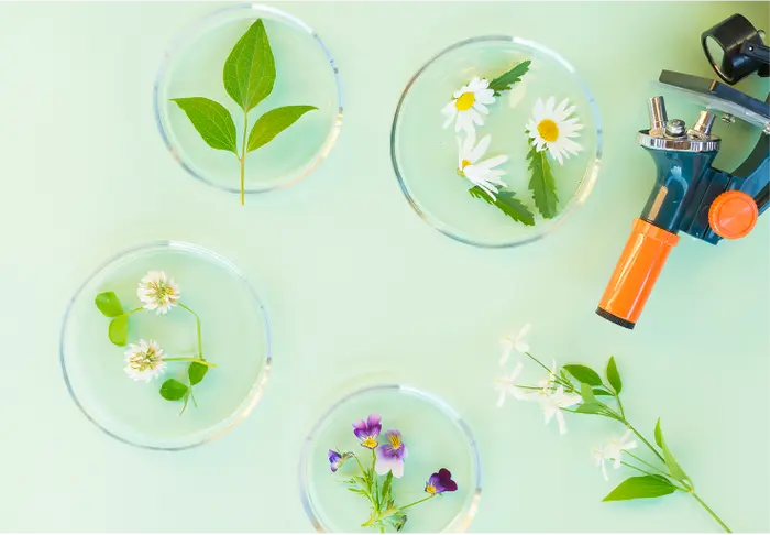 Foto microscopio y hojas de plantas