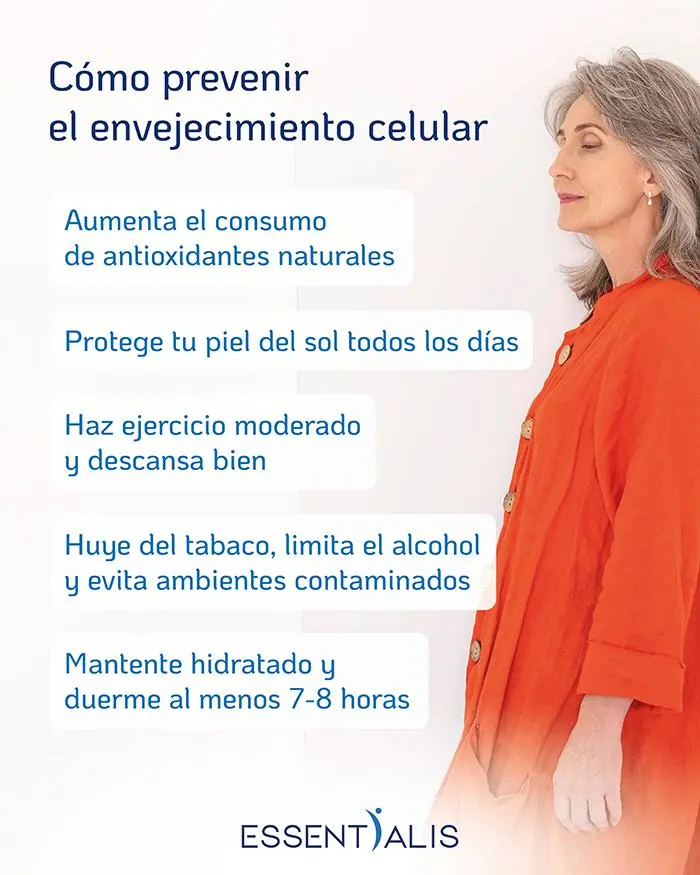 Infografía sobre cómo prevenir el envejecimiento celular con hábitos saludables y alimentos ricos en antioxidantes naturales.