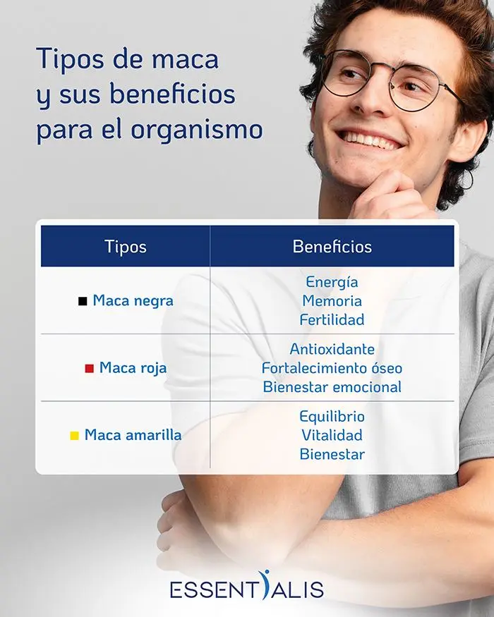 Infografía con los 3 tipos de Maca y sus beneficios para el organismo