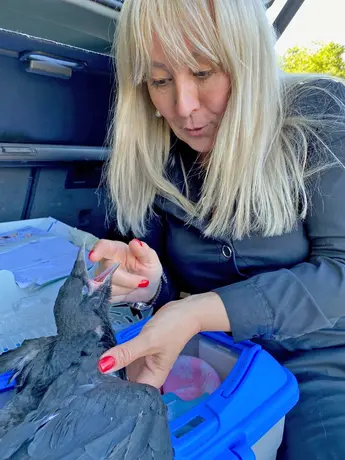 Ehrenamtliches Engagement von Patricia Cerutti-Halfen im Tierschutz.