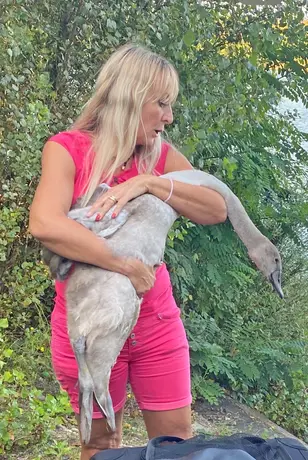 Patricia Cerutti-Halfen versorgt verletzte Tiere.