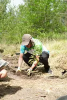 Heel Ecuador Mitarbeiter bedeckt seinen gepflanzten Baum mit Erde