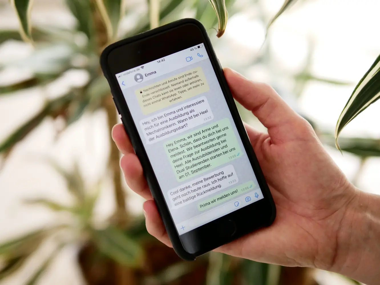  Eine Hand hält ein Smartphone, auf dem ein WhatsApp Chat angezeigt wird vor eine Pflanze.
