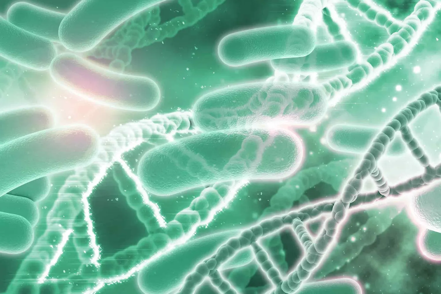 El microbioma se refiere al material genético de la microbiota, de esa población en una ubicación particular o la colección completa de genes de la microbiota. Es importante para comprender la función de colaboración del microbioma con el genoma humano. 