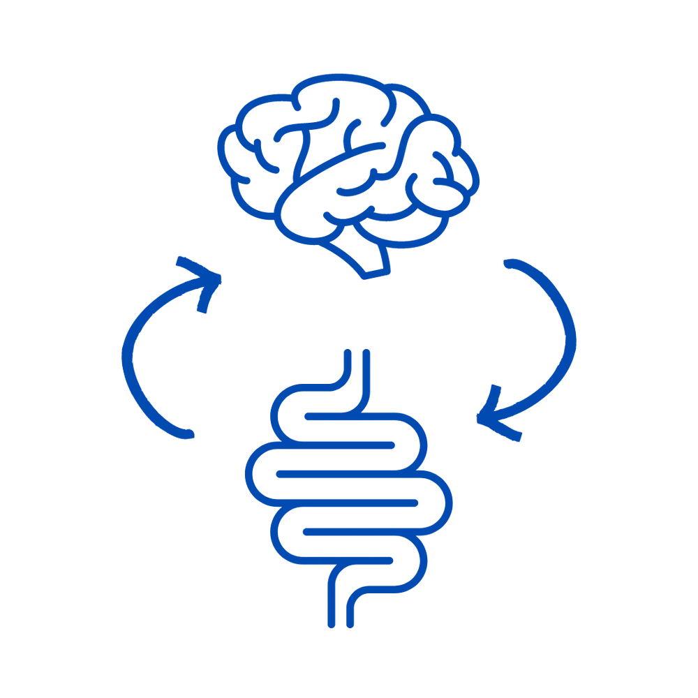 ¿Quieres aprender la importancia del intestino eje-cerebro para tu estado de humor?